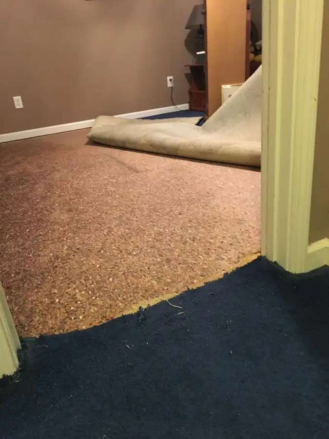 Carpet pad removal revealing water damage during Water Mitigation Services in Barrington